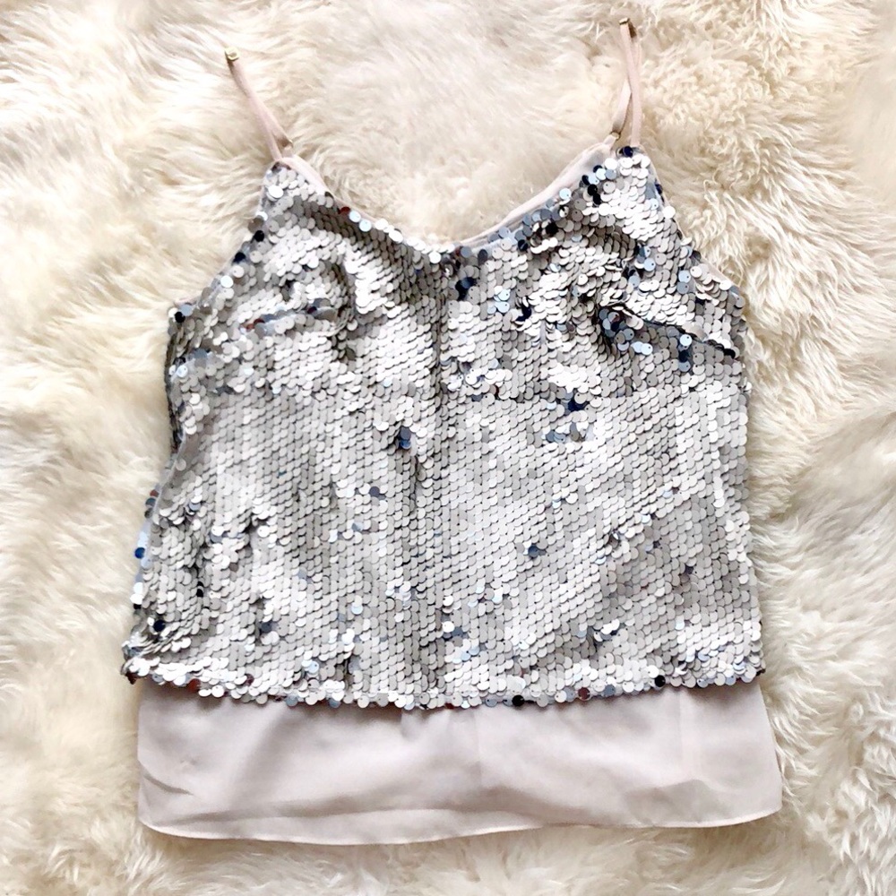Sequin top with sheer beige lining